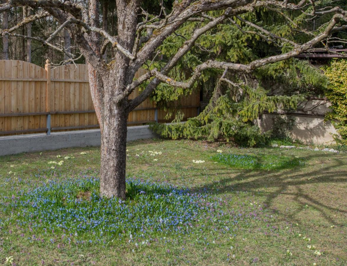Garten Appartement Harmony Finkenstein am Faaker See Exterior foto