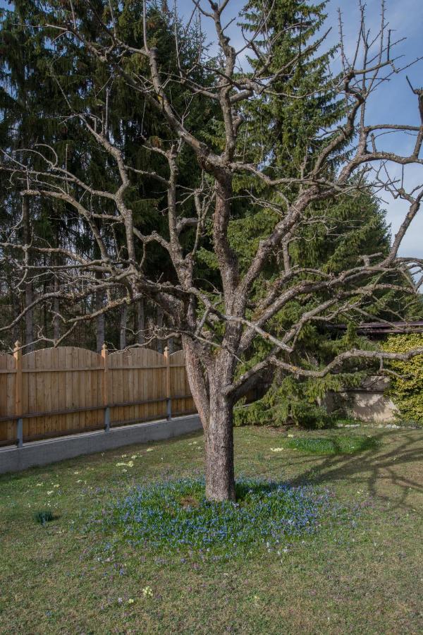Garten Appartement Harmony Finkenstein am Faaker See Exterior foto