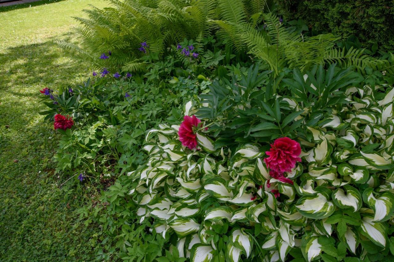 Garten Appartement Harmony Finkenstein am Faaker See Exterior foto